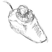 Ink drawing of a trackball