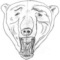 Pencil sketch of a sad polar bear