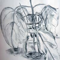 Charcoal drawing of a branch in a glass vase