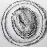 Pencil drawing of a sesame seed bagel on a plate