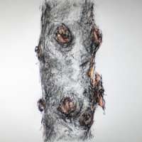 Crayon, pencil and ink drawing of peeling tree bark