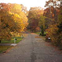 A photo of a suburban street in autumn