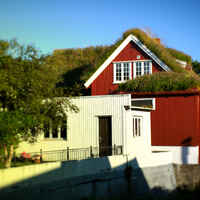 A photo of house with a grass roof