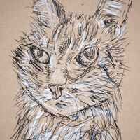 A portrait of a cat on tan paper