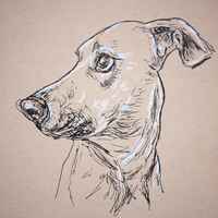 A portrait of a dog on tan paper
