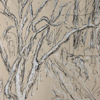 Black and white ink drawing of maple tree covered in snow