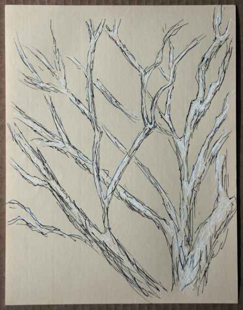 Black and white ink drawing of maple tree covered in snow