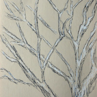 Black and white ink drawing of maple tree covered in snow